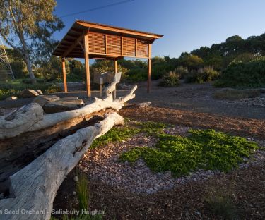 Little Para Seed Orchard