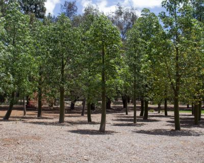 Spa Ao 181221 Smithfieldmemorialgardens 3741