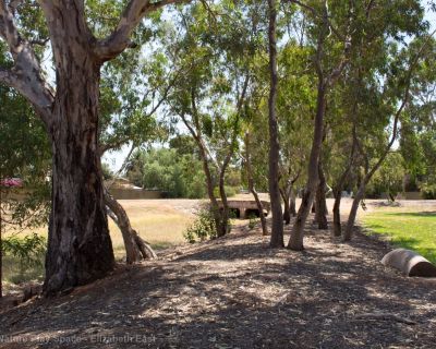 Spa Ao 190130 Pipkinreserve 4438