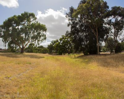 Spa Ao 190131 Grenadierreserve 4498