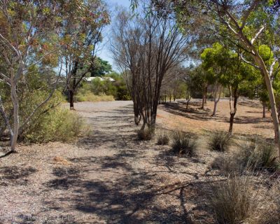 Spa Ao 190131 Somersetgrovereserve 4669