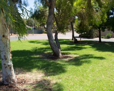 Spa Ao 190131 Honeysucklereserve 4570