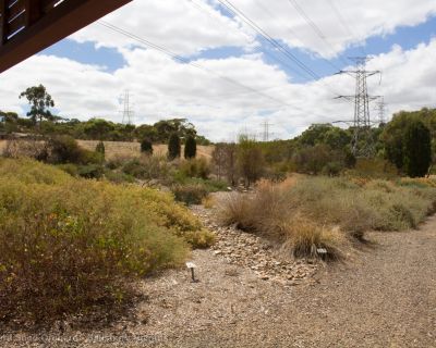 Spa Ao 190131 Littleparaseedorchard 4556