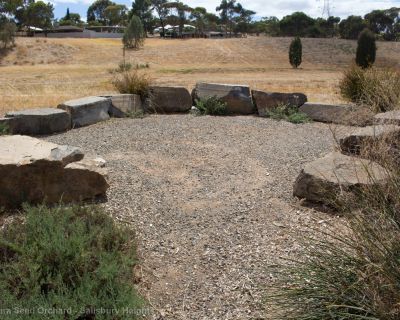 Spa Ao 190131 Littleparaseedorchard 4557