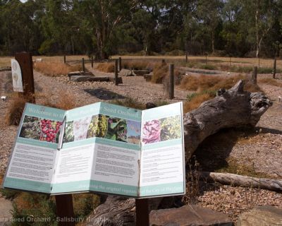 Spa Ao 190131 Littleparaseedorchard 4555