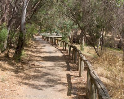 Spa Ao 190131 Littleparaseedorchard 4547