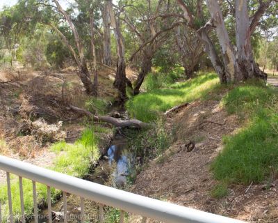 Spa Ao 190131 Littleparaseedorchard 4548