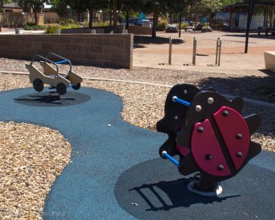 Spa Ao 190201 Curtiswetlands 4821