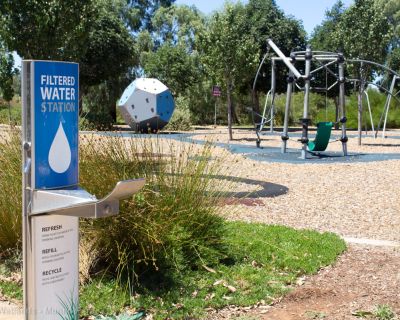 Spa Ao 190201 Curtiswetlands 4815