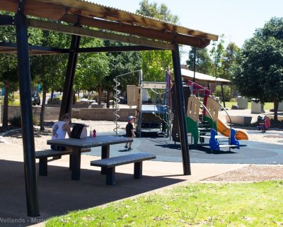 Spa Ao 190201 Curtiswetlands 4817