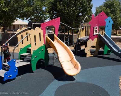 Spa Ao 190201 Curtiswetlands 4819