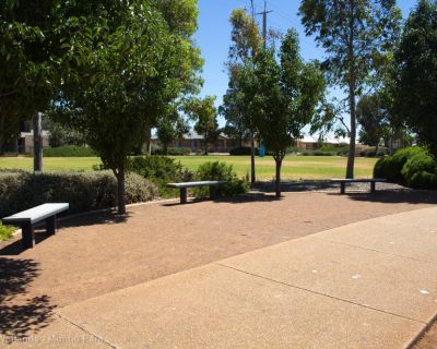 Spa Ao 190201 Curtiswetlands 4811