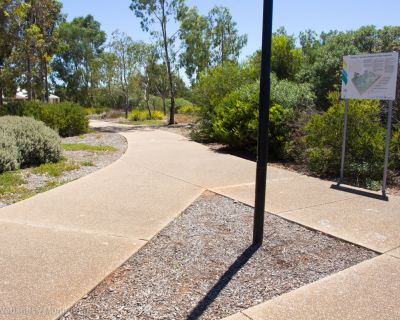 Spa Ao 190201 Curtiswetlands 4812