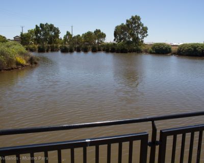 Spa Ao 190201 Curtiswetlands 4813