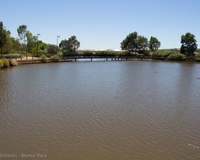 Spa Ao 190201 Curtiswetlands 4809