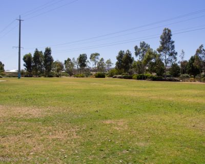 Spa Ao 190201 Curtiswetlands 4806