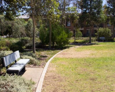 Spa Ao 190201 Curtiswetlands 4807