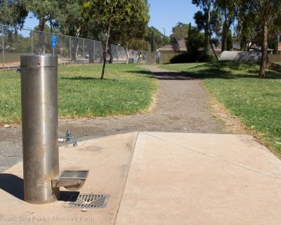 Spa Ao 190201 Stebonheathdogpark 4765