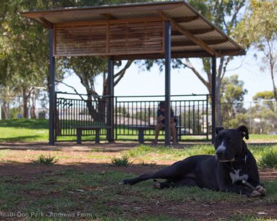 Spa Ao 190201 Stebonheathdogpark 4761