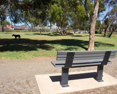 Spa Ao 190201 Stebonheathdogpark 4743