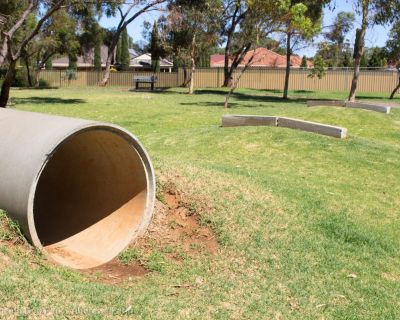 Spa Ao 190201 Stebonheathdogpark 4745