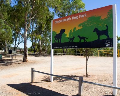 Spa Ao 190201 Stebonheathdogpark 4736