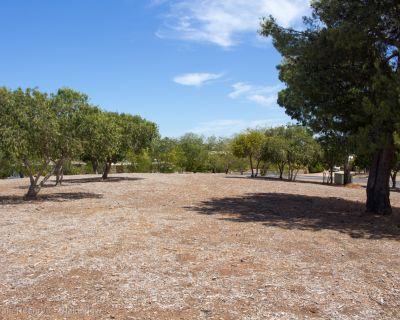 Spa Ao 190205 Springvalereserve 5176