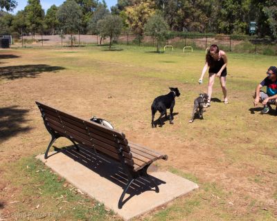 Spa Ao 190205 Blakes Crossing Pooch Park 5087