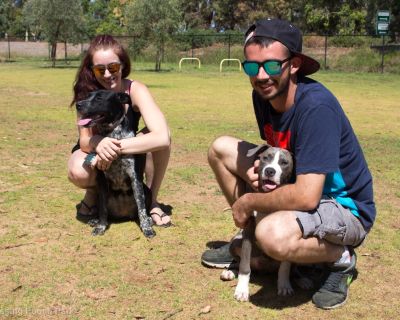 Spa Ao 190205 Blakescrossingpoochpark 5094