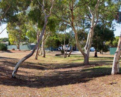 Spa Ao 190205 Cowleyreserve 4981