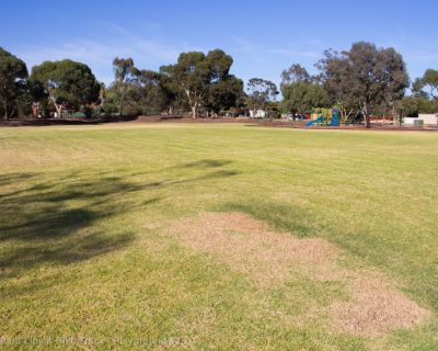 Spa Ao 190205 Mp Linearbiketrack No3 4977