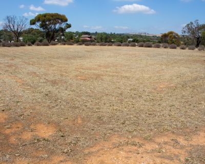 Spa Ao 190207 Playfordrise 5180