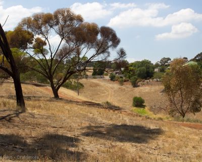 Spa Ao 190207 Playfordrise 5181