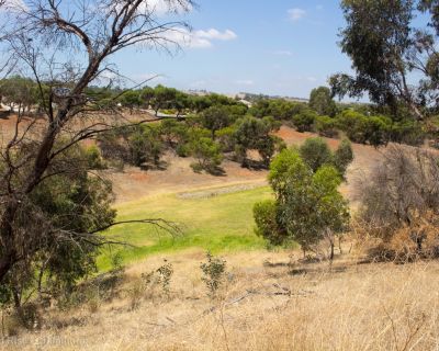 Spa Ao 190207 Playfordrise 5182