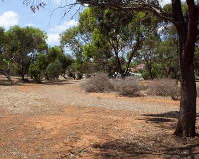 Spa Ao 190207 Playfordrise 5178