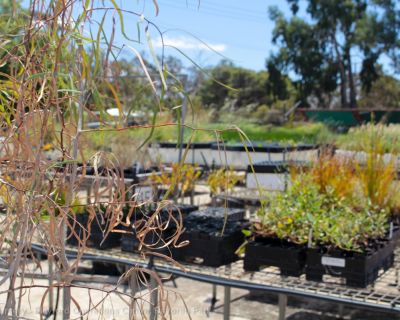 Spa Ao 190208 Poc Nursery 5483