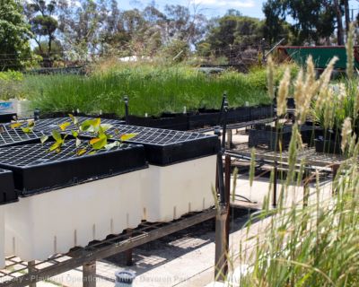 Spa Ao 190208 Poc Nursery 5487