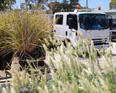 Spa Ao 190208 Poc Nursery 5491