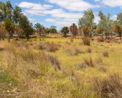 Spa Ao 190208 Ashplacereserve 5399