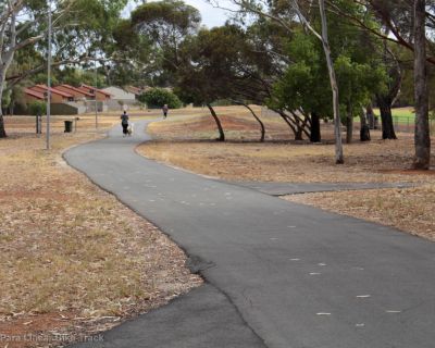 Spa Ao 190208 Linearbiketrack 5344