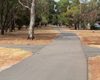 Spa Ao 190208 Linearbiketrack 5355
