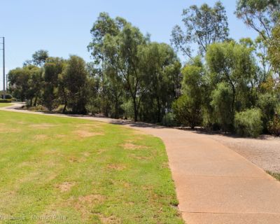 Spa Ao 190207 Curtiswetlands 5319