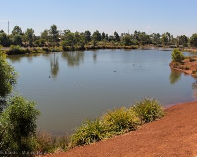 Spa Ao 190207 Curtiswetlands 5316