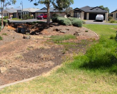 Spa Ao 190207 Jarrahdrainagereserve 5304