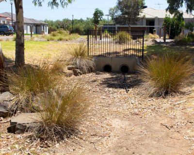 Spa Ao 190207 Almondcircuitreserve 5249