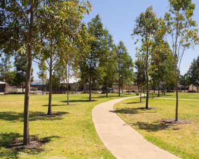 Spa Ao 190207 Nolanreserve 5223