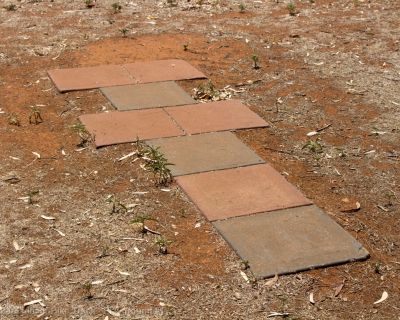 Spa Ao 190207 Linearbiketrack No1 5206