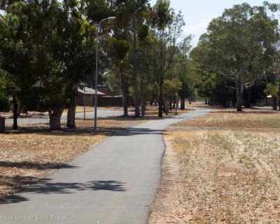Spa Ao 190207 Linearbiketrack 5208