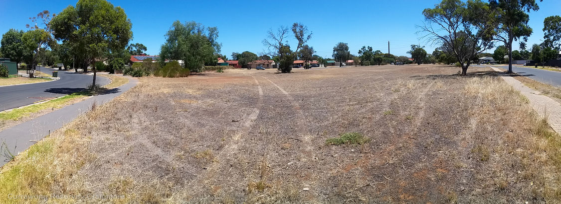 Spa Ao 190131 Currawongreserve Pano 134531