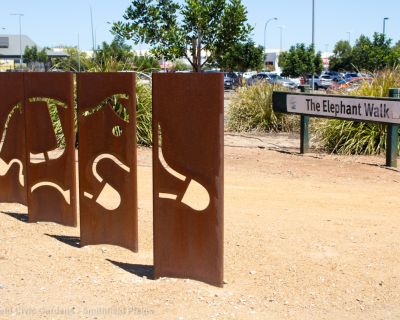 Spa Ao 190215 Elephantwalk 5808